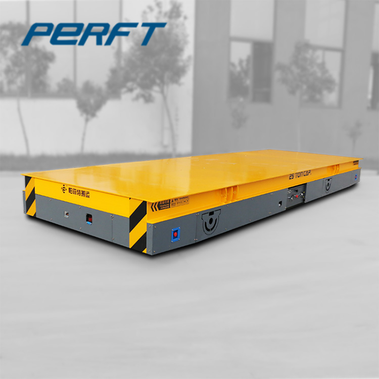 steerable carts 